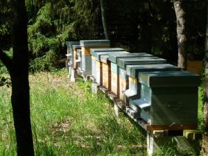 a row of beehives sitting in the grass at La Blinerie in Sambin