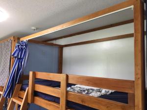 a bunk bed in a room with blue walls at Shimaotoya in Iriomote