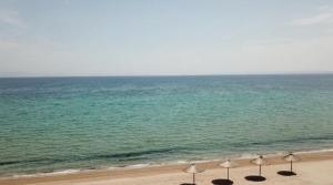 Fotografia z galérie ubytovania Beach Bird Swallow v destinácii Megáli Panayía