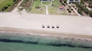 Fotografia z galérie ubytovania Beach Bird Swallow v destinácii Megáli Panayía