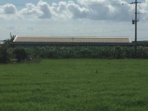 a building in a field with a field of grass at Shimaotoya in Iriomote