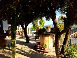 une rue ombragée avec des arbres et un bâtiment dans l'établissement Agriturismo Chiai Francesco, à Bari Sardo