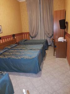 Een bed of bedden in een kamer bij Hotel Demetra Capitolina