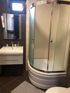 La salle de bains est pourvue d'une douche et d'un lavabo. dans l'établissement Apartment Trimontium 2, à Plovdiv