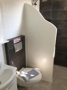 a bathroom with a white toilet and a sink at Pension Sofia Amorgos-Katapola in Katapola