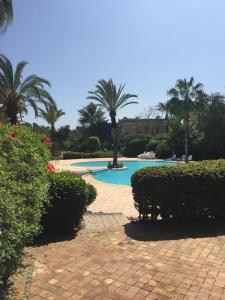 een zwembad met palmbomen en struiken bij Résidence Naama in Agadir