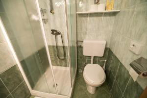 a small bathroom with a toilet and a shower at Bed & Breakfast Hisa Resje in Bohinj
