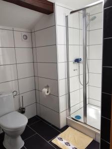 a bathroom with a toilet and a shower at Jujhar's Gästehaus in Wasserburg am Inn