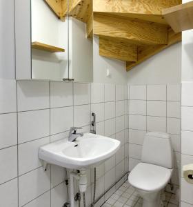 La salle de bains est pourvue d'un lavabo et de toilettes. dans l'établissement Himosport Apartments, à Jämsä