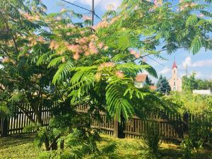 a fence with trees and a church in the background at Kuća za odmor Mirna in Cepidlak