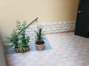 ナポリにあるVincent's homeの塀の横に座る鉢植え二本