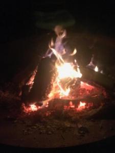 Gambar di galeri bagi B&B il Sambuco di Vignola