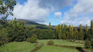 an open field with trees and mountains in the background at Loboratorio Rural, La Casa de al Lado in Casas del Abad