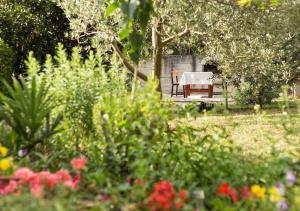 Φωτογραφία από το άλμπουμ του Apartments Vretenar σε Novigrad Istria +39 φωτογραφίες