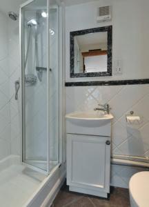 a bathroom with a shower and a sink and a mirror at Shipwrights Cottage in Salcombe