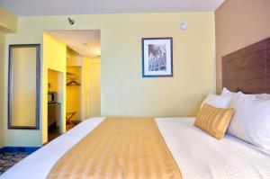 a bedroom with a large bed in a room at The Barrymore Hotel Tampa Riverwalk in Tampa