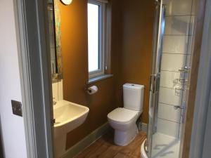 a bathroom with a toilet and a sink and a shower at The Sail Loft in Southwold