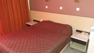 Cama o camas de una habitación en Dimitris Paritsa Hotel