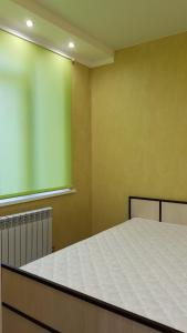 オムスクにあるApartamenty "Izumrud"の緑の壁のドミトリールーム(ベッド1台)