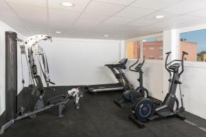 Fitness centrum a/nebo fitness zařízení v ubytování Hotel Ridomar 365