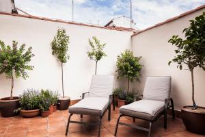 Ogród w obiekcie Mante House - Malasaña Design