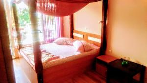 a small bed in a room with a window at Family Hotel Ludo in Varna City