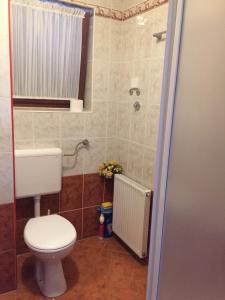 Ein Badezimmer in der Unterkunft Apartment Villa Ana