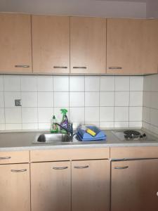 Küche/Küchenzeile in der Unterkunft Apartment Villa Ana