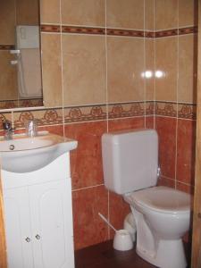 a bathroom with a toilet and a sink at Le Relais de l'Abbaye in Tournus