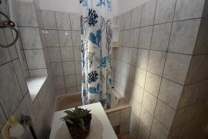y baño con cortina de ducha y lavamanos. en Apartment Morena, en Zagreb