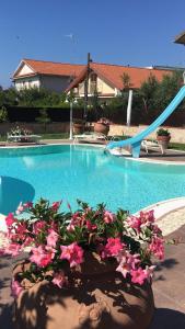 - une piscine avec toboggan et quelques fleurs roses dans l'établissement Boccy Brothers, à Formia
