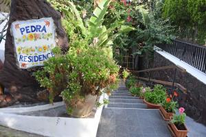 A garden outside Pedra Residence