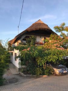 a house with a thatched roof with a car parked in front at Casa Nicu Murighiol in Murighiol