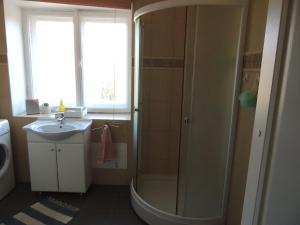 a bathroom with a shower and a sink at Mosina Vesiveski in Vissi +32 photos