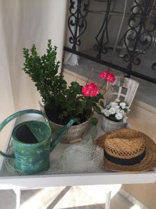 a table with two plants and flowers in baskets at Maistrali Pension in Skala Marion