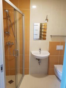ein Bad mit einem Waschbecken und einer Dusche in der Unterkunft Apartamentai Elija Plus in Šventoji
