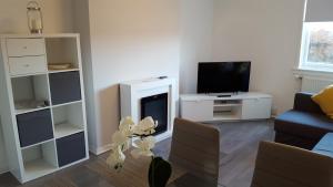 a living room with a fireplace and a tv at Flemming Place in East Kilbride