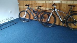 Jazda na bicykli v okolí ubytovania Apartmány Růže