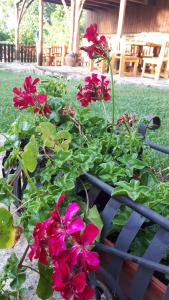 a garden with red flowers in a blue bench at Guest House Zarkova Kushta in Zheravna