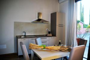 uma cozinha com uma mesa com cadeiras e um lavatório em Agriturismo L'Aquilone em Magliano in Toscana