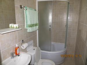 a bathroom with a shower and a toilet and a sink at Vila Mihai in Năvodari
