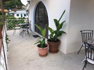 Balkón alebo terasa v ubytovaní Villa Lorenta Apartments