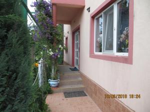 un corridoio di una casa con finestra e fiori di Vila Mihai a Năvodari