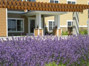 Ledgestone Suites Hotel Yakima外面的花园