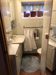 een kleine badkamer met een wastafel en een spiegel bij Rabens Cottage in Bengtsfors