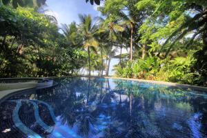une piscine au milieu d'une jungle avec des arbres dans l'établissement Hotel Tropico Latino, à Santa Teresa