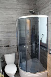 Un baño con inodoro y ducha de cristal. en U Przyjaciół, en Żarnowska