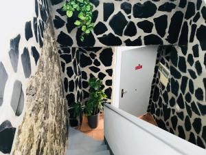 a hallway with a black and white animal print wall at CASA ISABEL CENTRO Histórico in Arucas