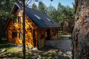 eine Blockhütte im Wald mit Solardach in der Unterkunft Łosia Chata in Grzybowce