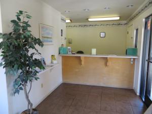uma sala de espera com um vaso de árvore em primeiro plano em Beachview Inn em Santa Cruz